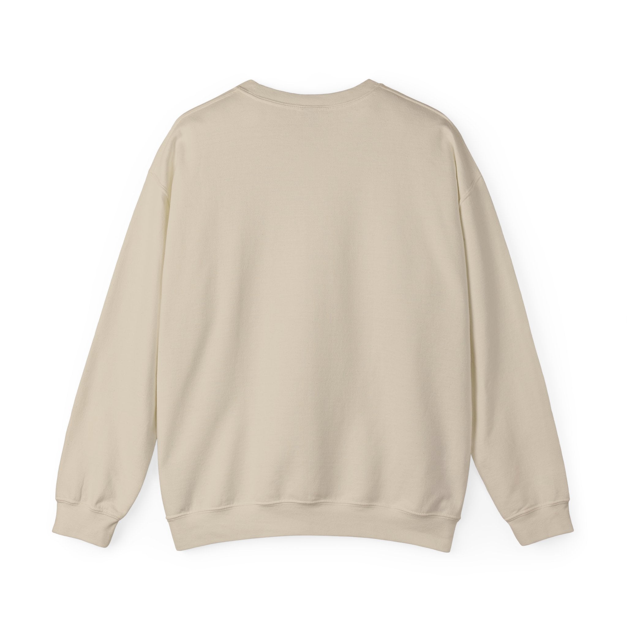 Caracas Venezuela Sweatshirt | City Name Crewneck, White College Style